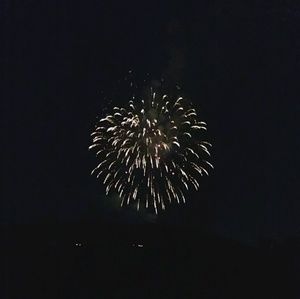 Meet your Posher, Cheyenne