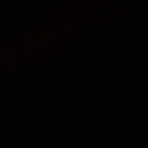 Meet your Posher, Gavin