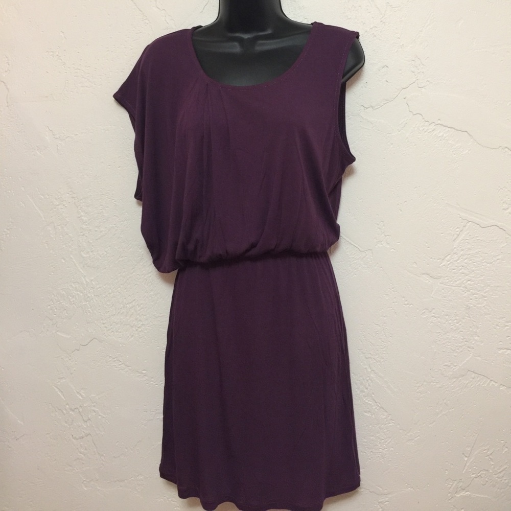 Alternative Apparel Earth Eco Friendly Dress