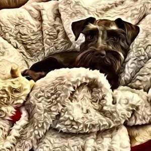 Meet your Posher, Mj