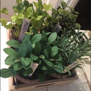 Faux Herbs for window bringing a touch of greenery