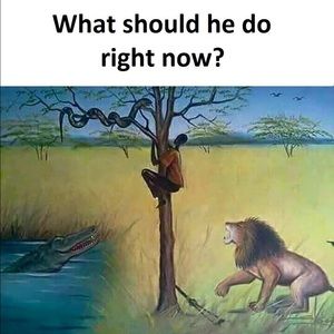 Meet your Posher, Nooria