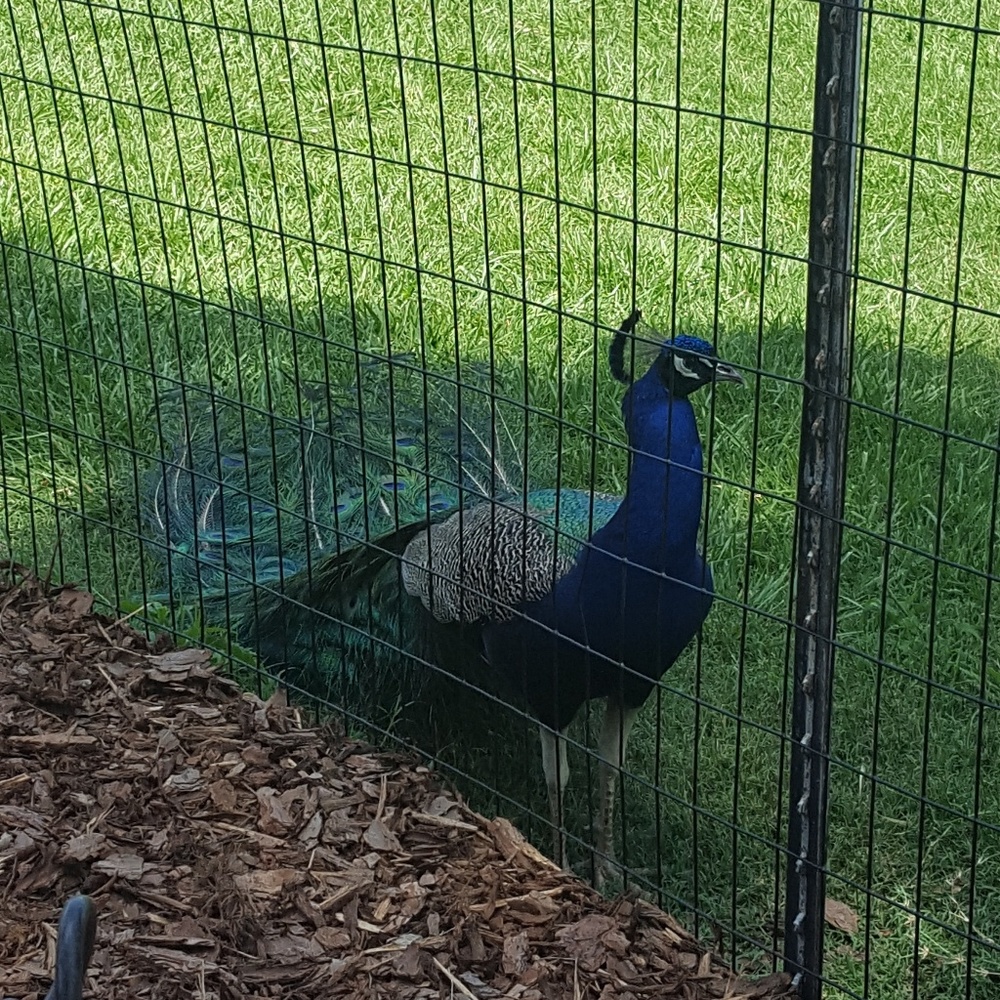 Meet your Posher, Lorena