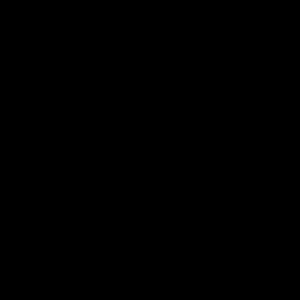 Meet your Posher, Nautica