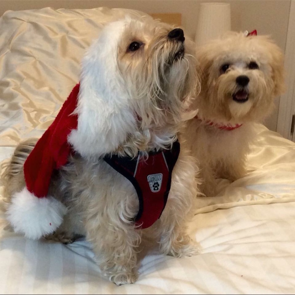 Meet your Posher, Barbara