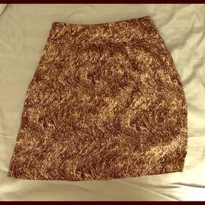 Club Monaco silk skirt