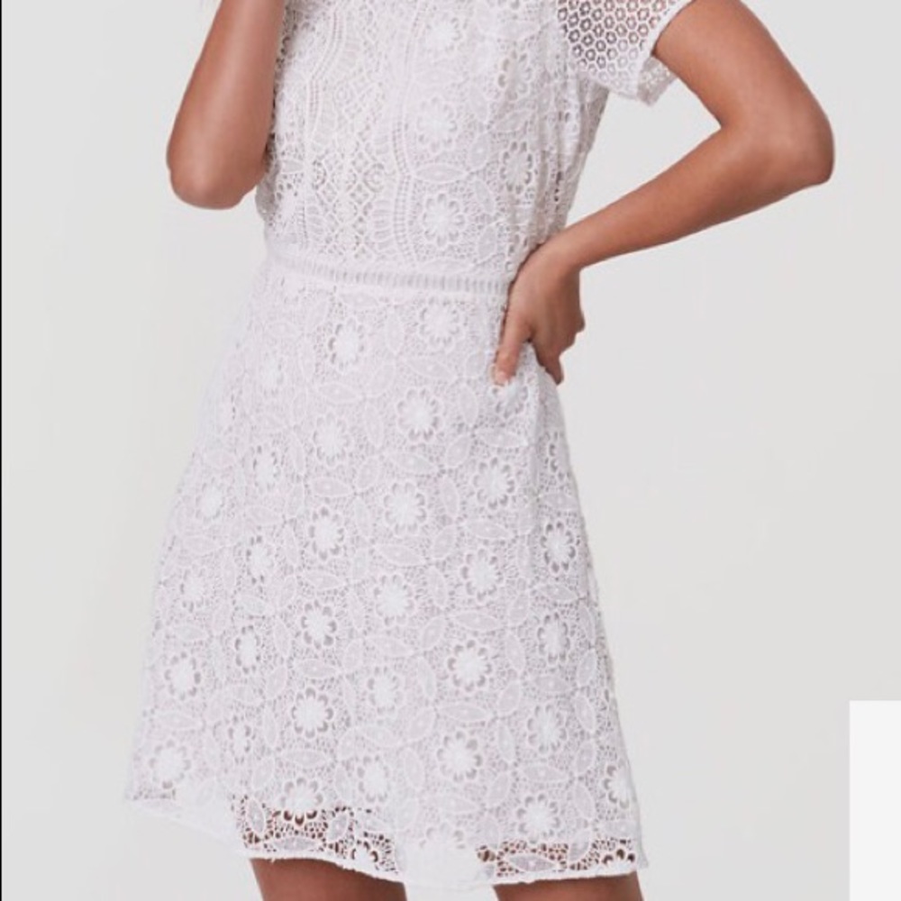 LOFT lace dress
