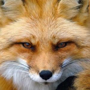 Meet your Posher, Colter