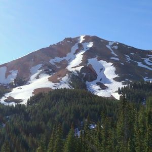 Meet your Posher, Luna