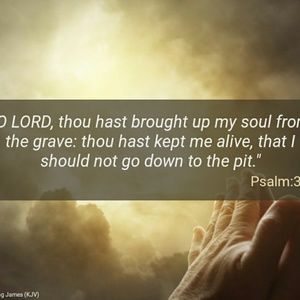 Meet your Posher, Freddy