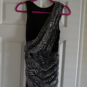 Arc & Co 2 in 1 dress