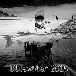 Meet your Posher, Zachary