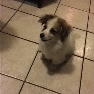 Meet your Posher, Nathalie