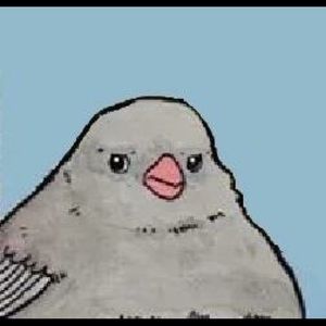 Meet your Posher, Luna