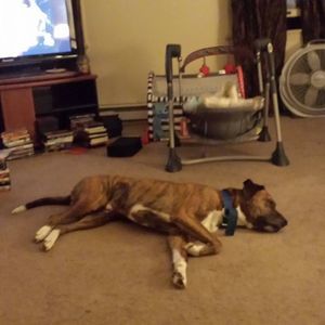 Meet your Posher, Bryan