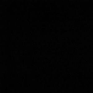 Meet your Posher, Mya