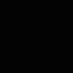 Meet your Posher, Julius