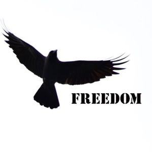 Meet your Posher, Tony