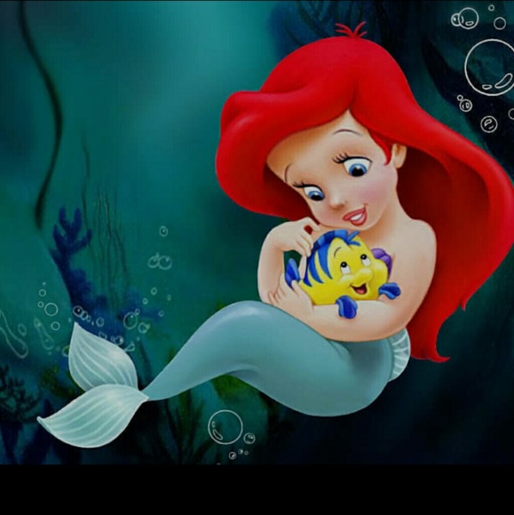 Meet your Posher, Daisy - Picture 1 of 1