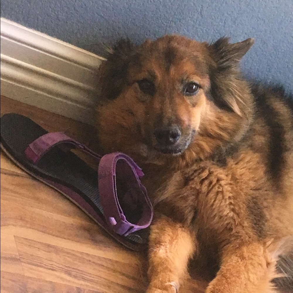 Meet your Posher, Jenna