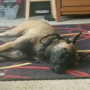 Meet your Posher, Nikole