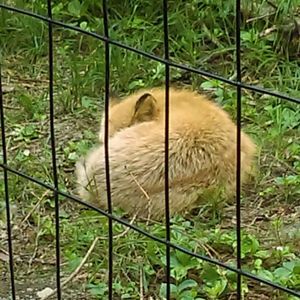 Meet your Posher, Wendy