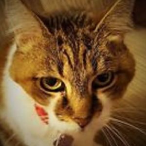 Meet your Posher, Grendel's