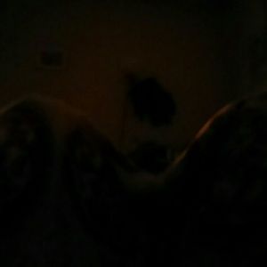 Meet your Posher, Pascale