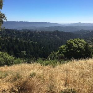 Meet your Posher, Jeremy