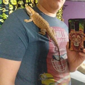 Meet your Posher, Aj