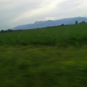 Meet your Posher, Cassandra