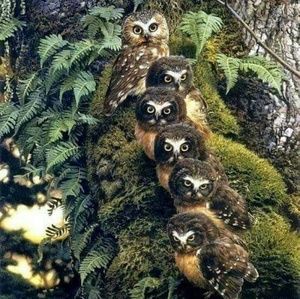 Meet your Posher, Lorena