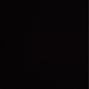 Meet your Posher, Carmen