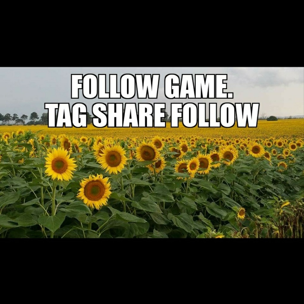 Follow Game #3. Like Share Follow and Tag PFFs