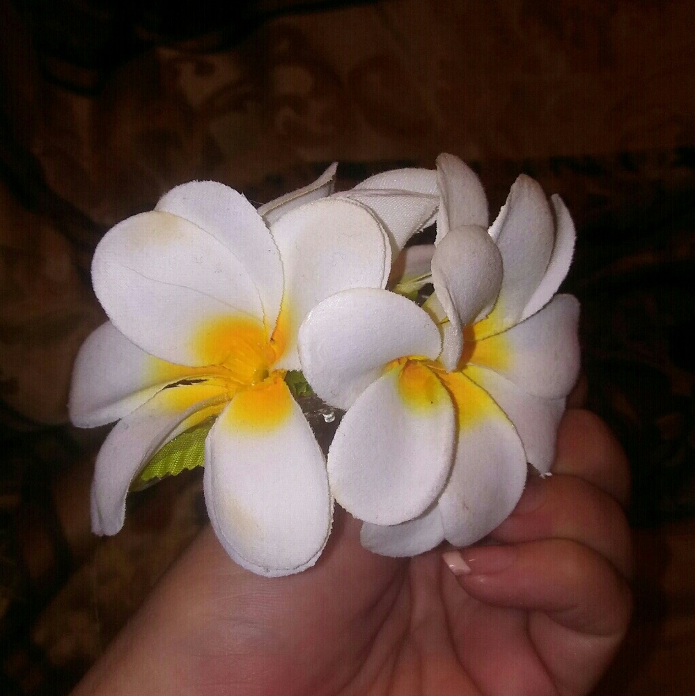 Plumeria hair clip