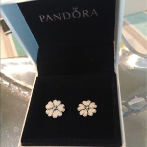 Pandora Primrose stud earrings
