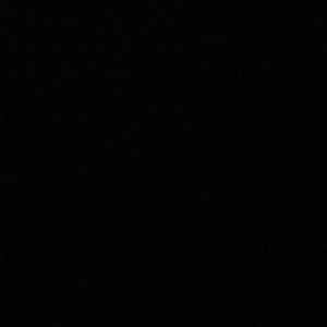 Meet your Posher, Donald