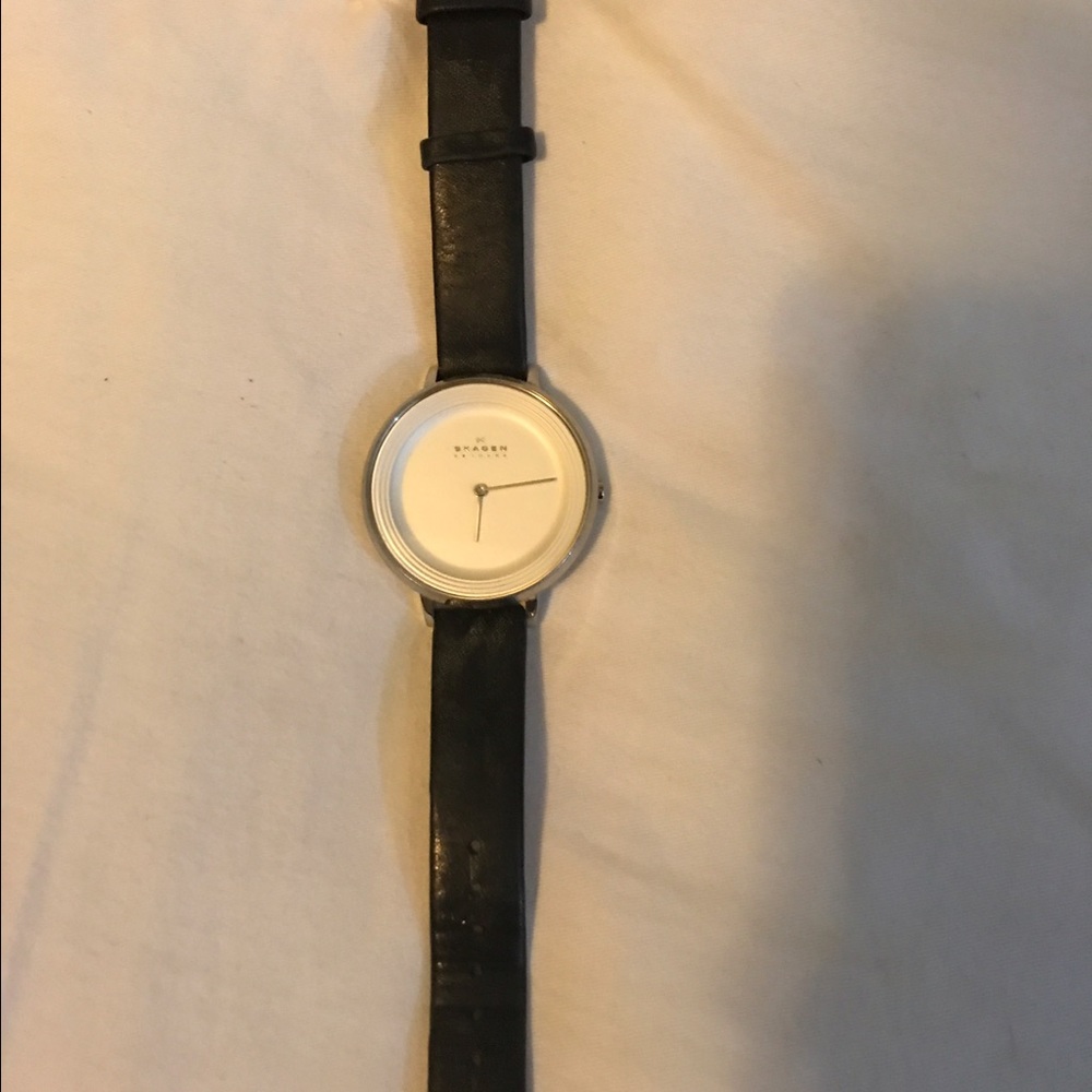 Skagen watch
