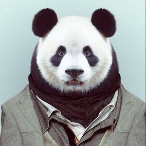 Meet your Posher, Perez