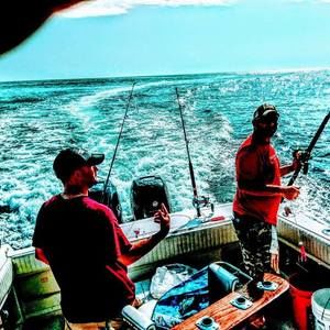 Meet your Posher, George