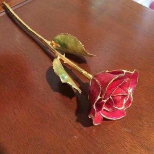 Rose dipped in 24k gold