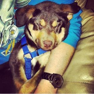 Meet your Posher, Ben