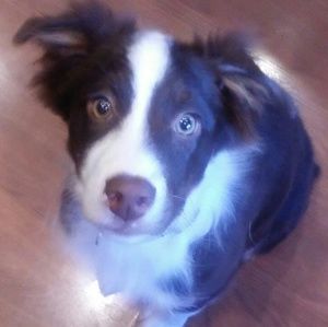 Meet your Posher, Leighton