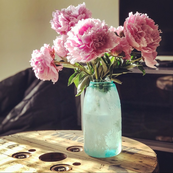 Meet your Posher, Suz - Picture 9 of 9