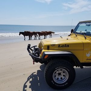 Meet your Posher, Trey