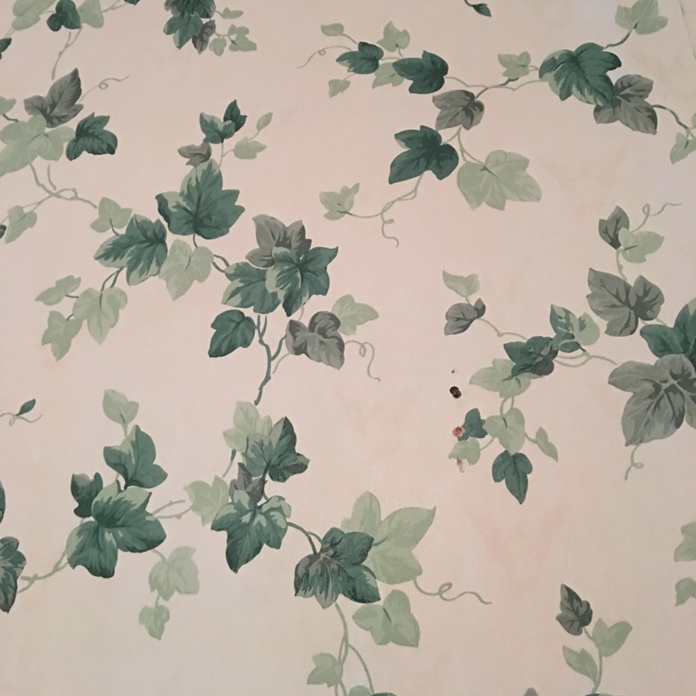 Meet your Posher, Claire