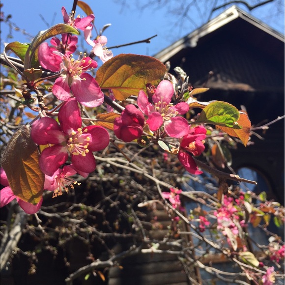 Meet your Posher, Caroline - Picture 1 of 1