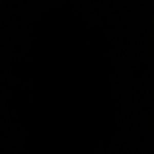 Meet your Posher, Jasmin