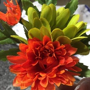 Meet your Posher, Ann