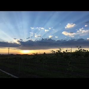 Meet your Posher, Kyle